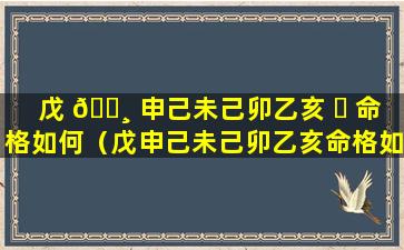 戊 🌸 申己未己卯乙亥 ☘ 命格如何（戊申己未己卯乙亥命格如何看）